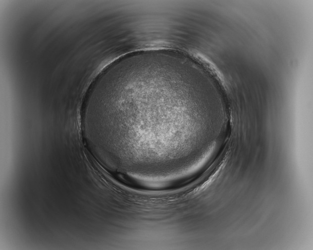 X0000096191457200801181311