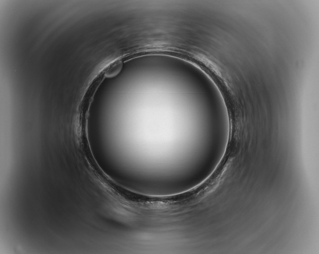 X0000096191458200801181311