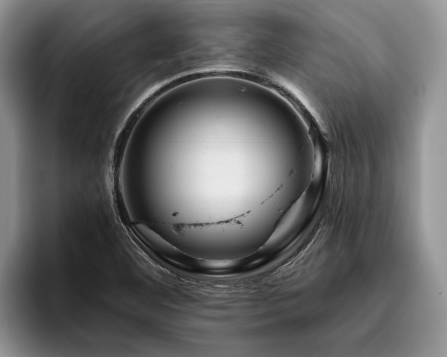 X0000096191460200801181311