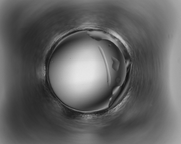 X0000096191461200801181311