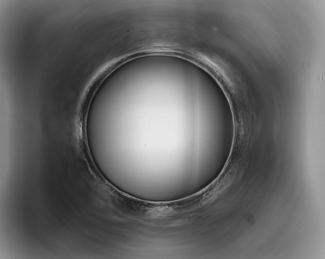 X0000096191462200801181311
