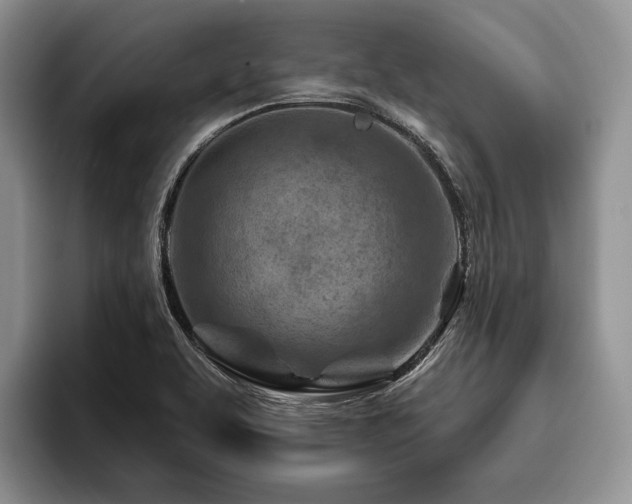 X0000096191463200801181311