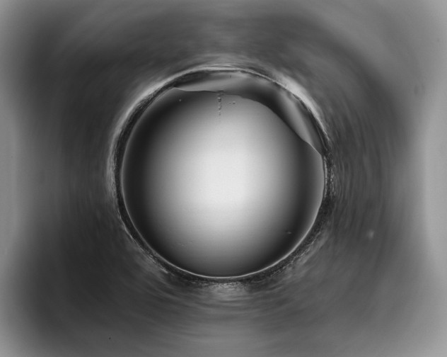 X0000096191464200801181311