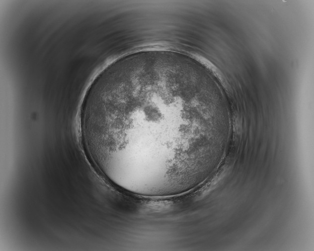 X0000096191466200801181311
