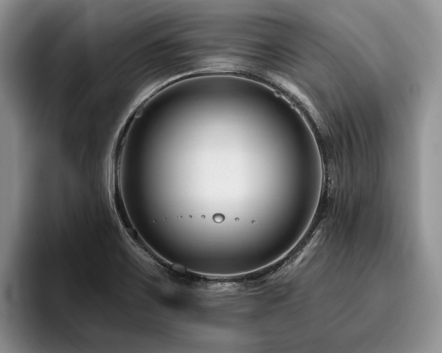 X0000096191467200801181311