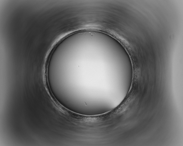 X0000096191470200801181311