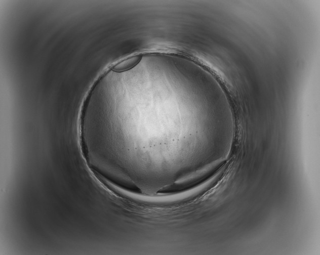 X0000096191471200801181311