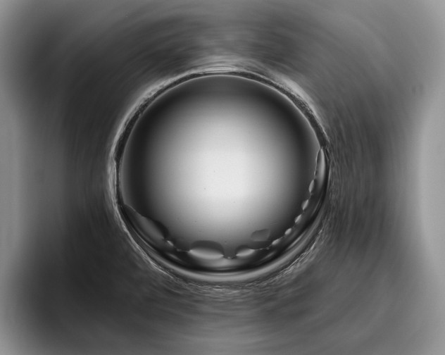 X0000096191472200801181311