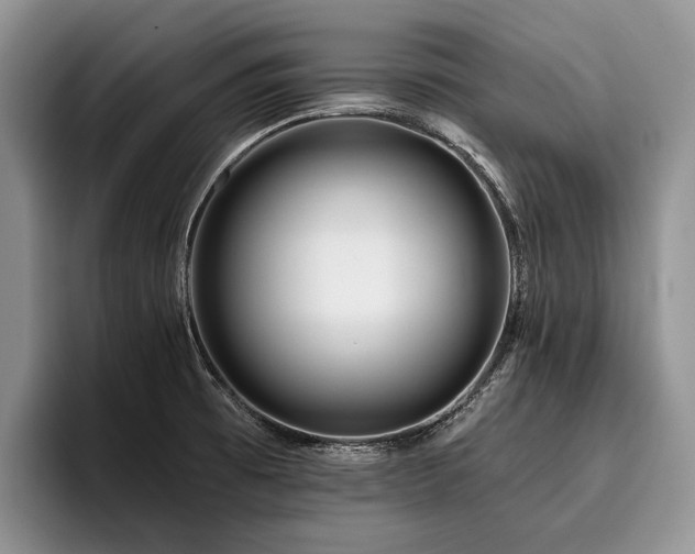 X0000096191473200801181311