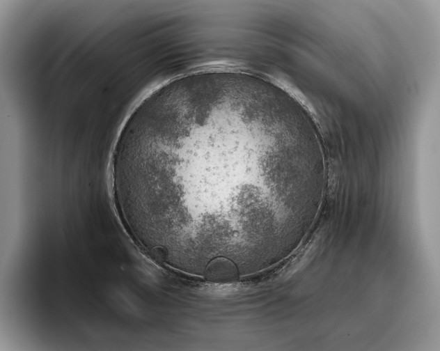 X0000096191474200801181311