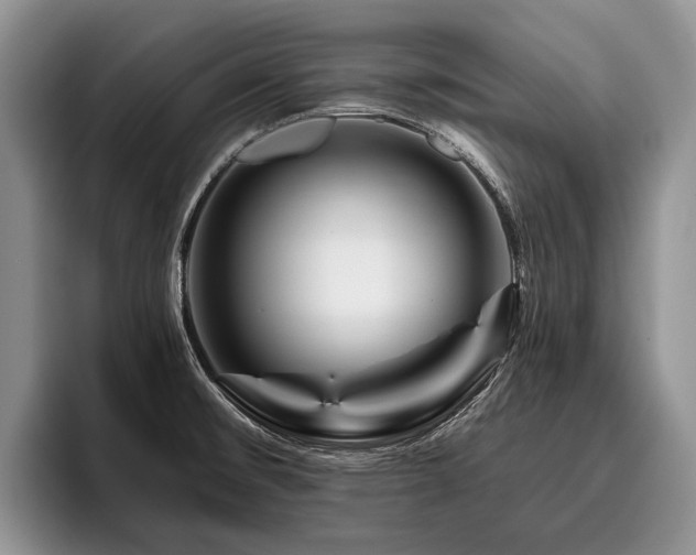 X0000096191476200801181311