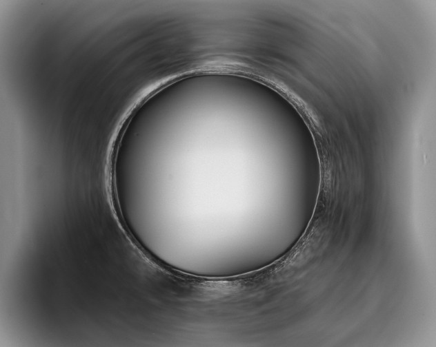 X0000096191478200801181311