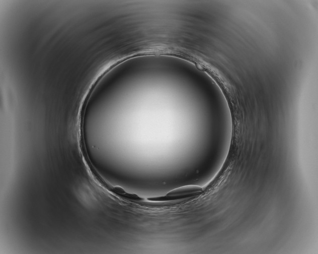 X0000096191479200801181311