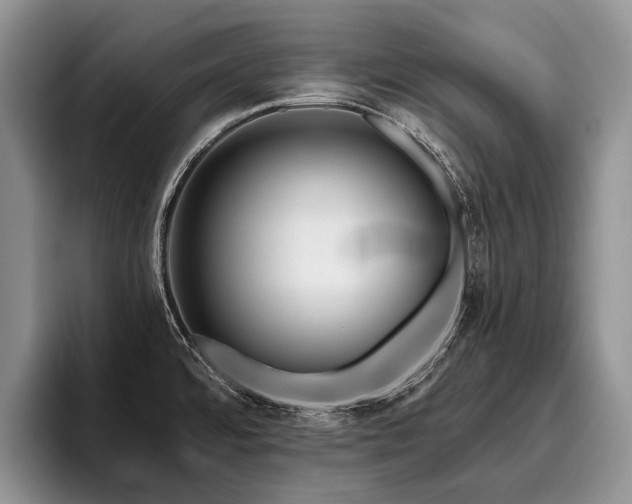 X0000096191480200801181311