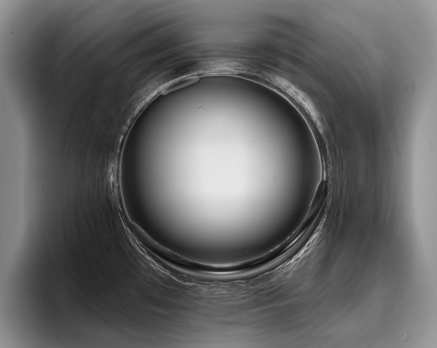 X0000096191481200801181311