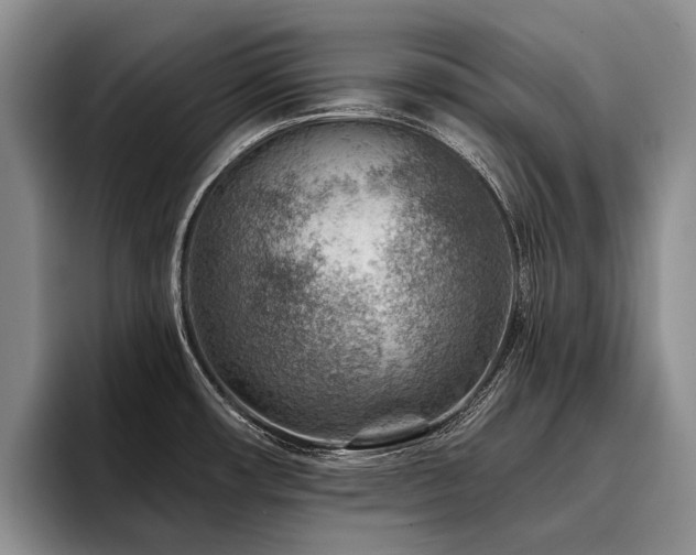 X0000096191482200801181311