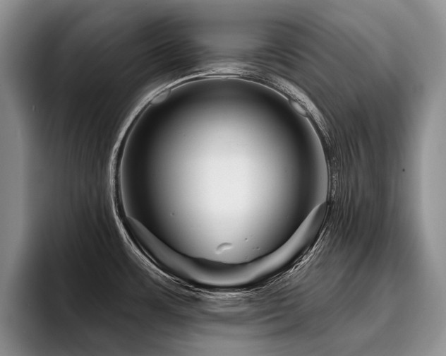 X0000096191483200801181311