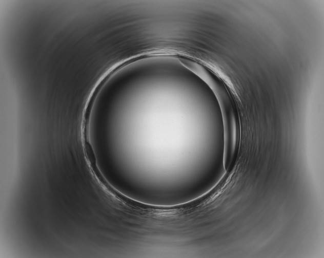 X0000096191484200801181311
