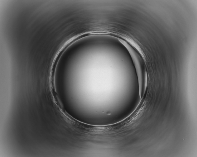 X0000096191485200801181311