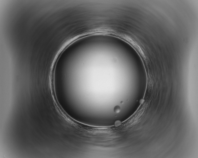 X0000096191486200801181311