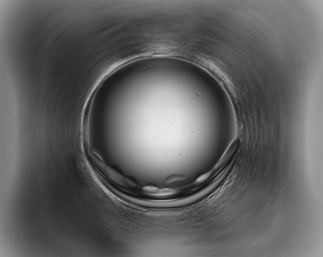 X0000096191487200801181311