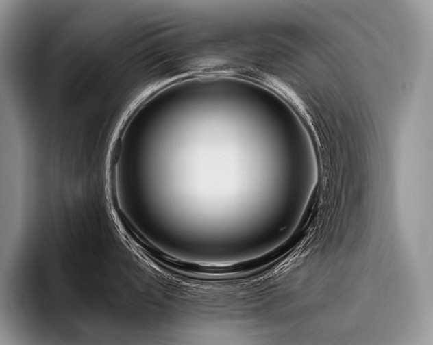 X0000096191488200801181311