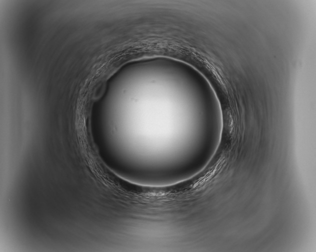 X0000096191489200801181310