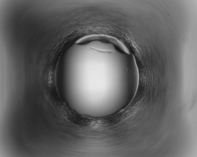 X0000096191490200801181310