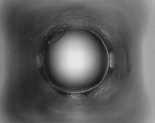 X0000096191491200801181310