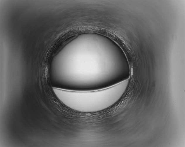 X0000096191492200801181310