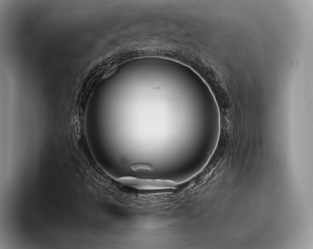 X0000096191493200801181310