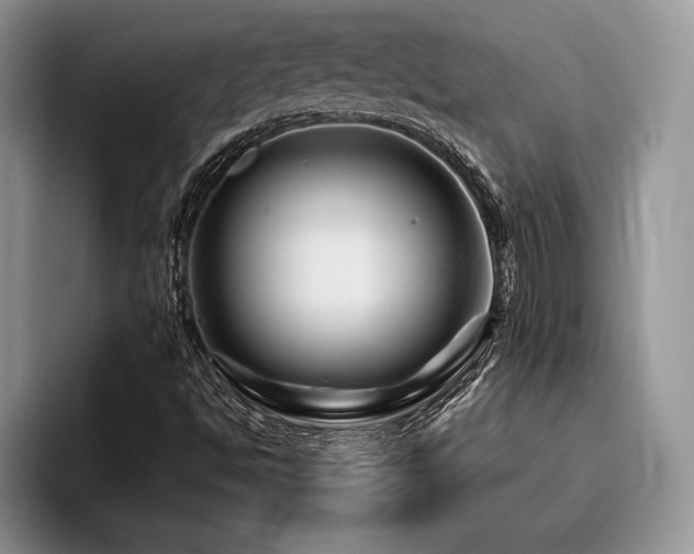 X0000096191494200801181310