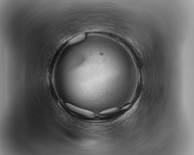 X0000096191497200801181310