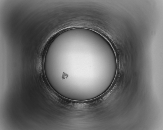 X0000096191498200801181310