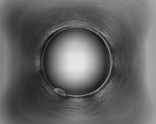 X0000096191499200801181310