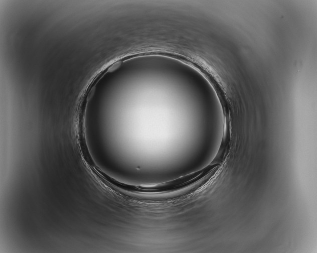 X0000096191500200801181310
