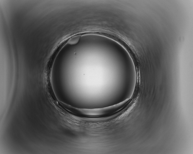X0000096191501200801181310