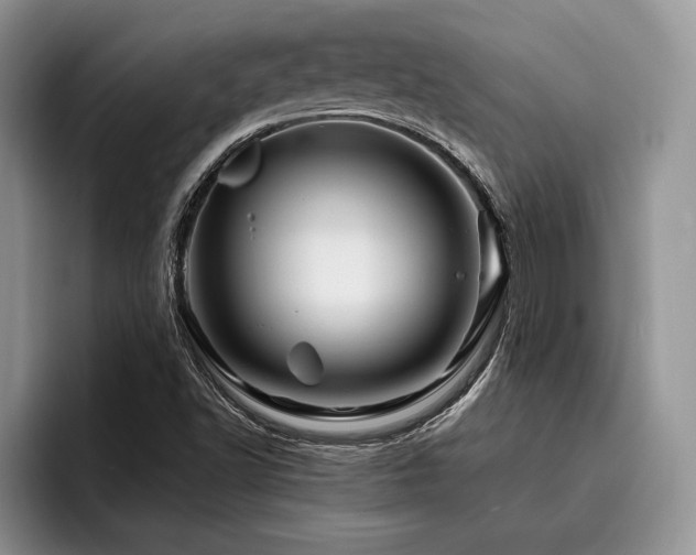 X0000096191502200801181310