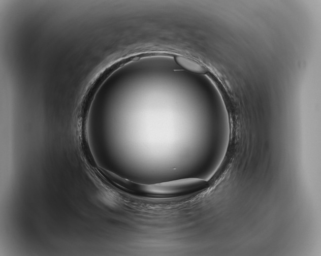 X0000096191503200801181310
