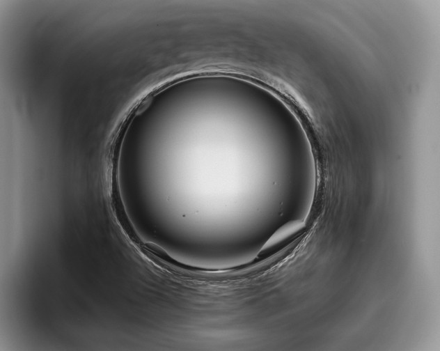 X0000096191504200801181310