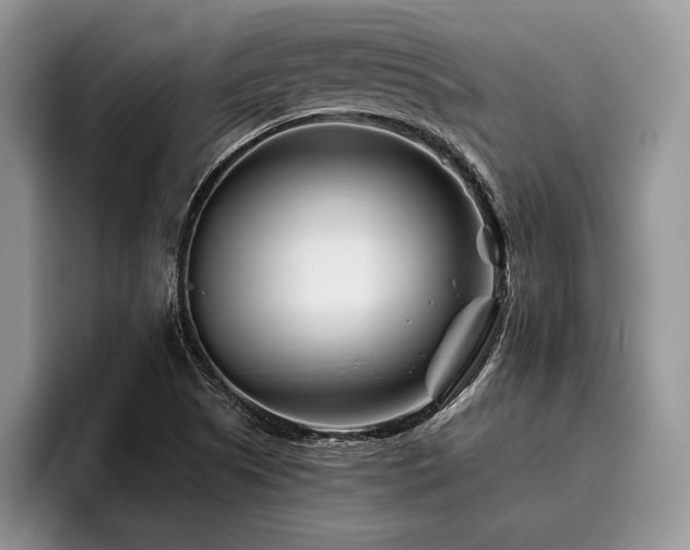 X0000096191505200801181310