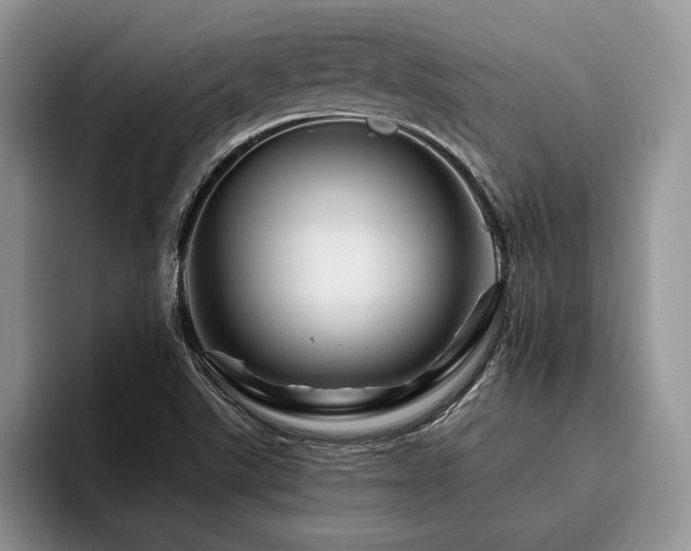 X0000096191507200801181310