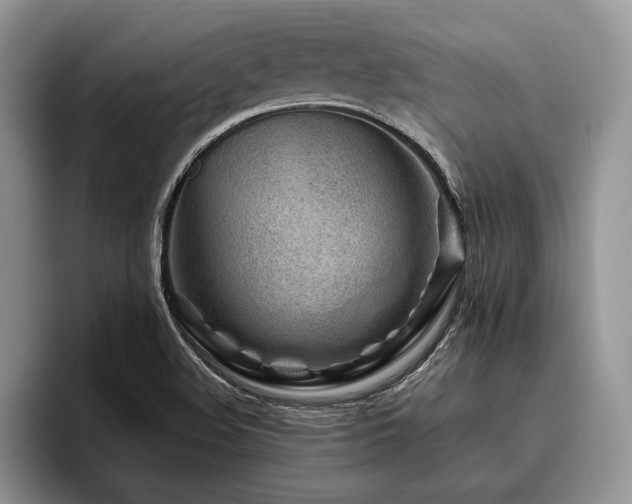 X0000096191508200801181310