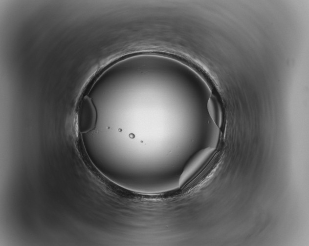 X0000096191509200801181310