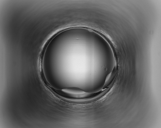 X0000096191510200801181310