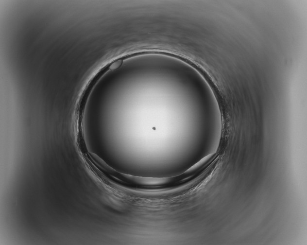 X0000096191511200801181310