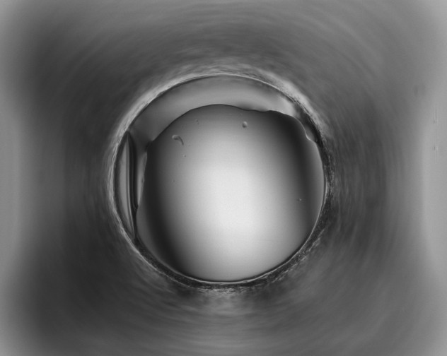 X0000096191512200801181310