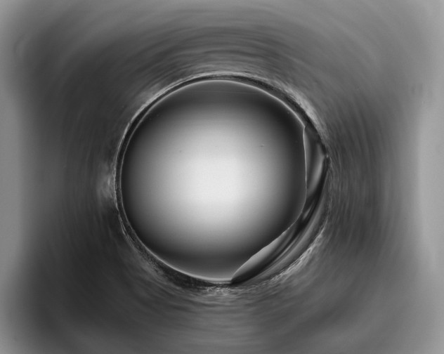 X0000096191513200801181310