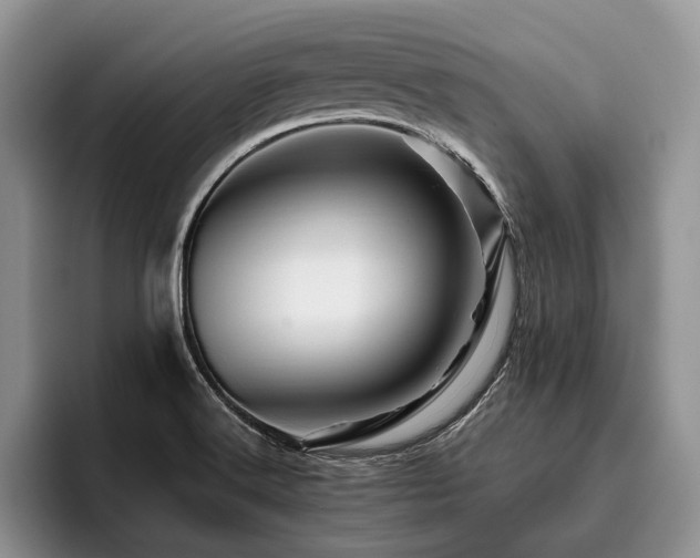 X0000096191516200801181310