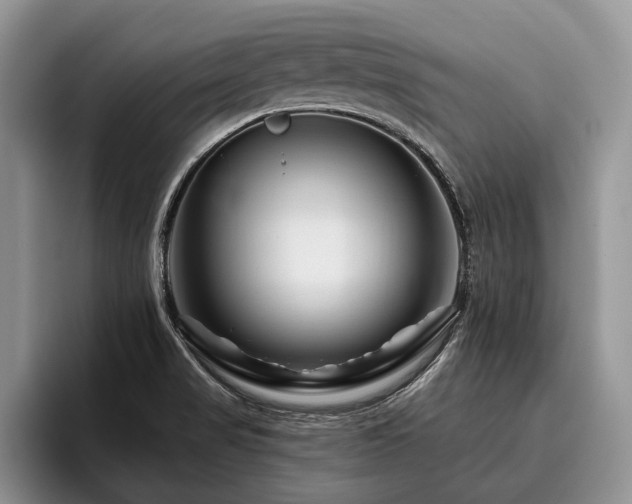 X0000096191517200801181310